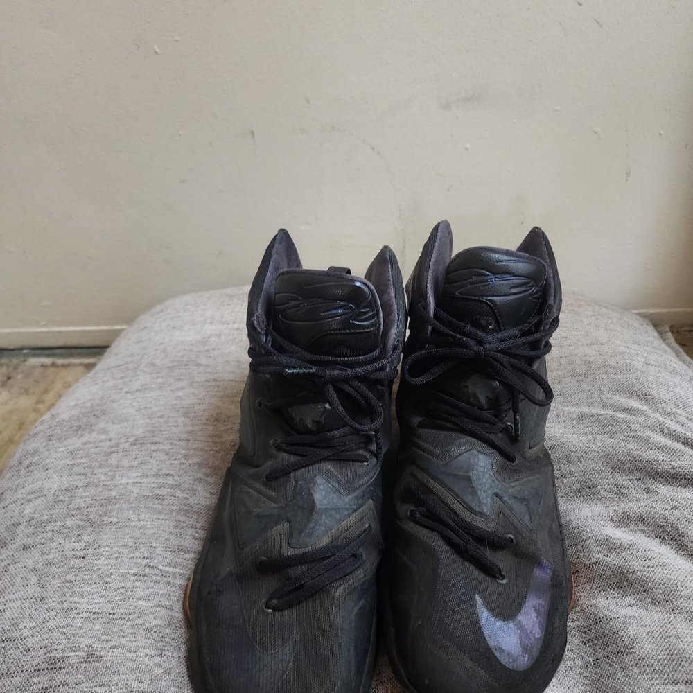 Lebrons - Picture 2 of 5